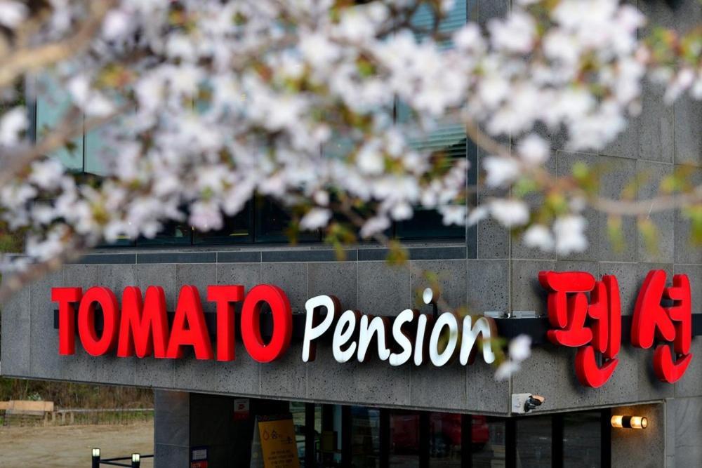 Hwacheon Tomato Pension エクステリア 写真