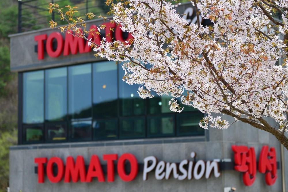 Hwacheon Tomato Pension エクステリア 写真